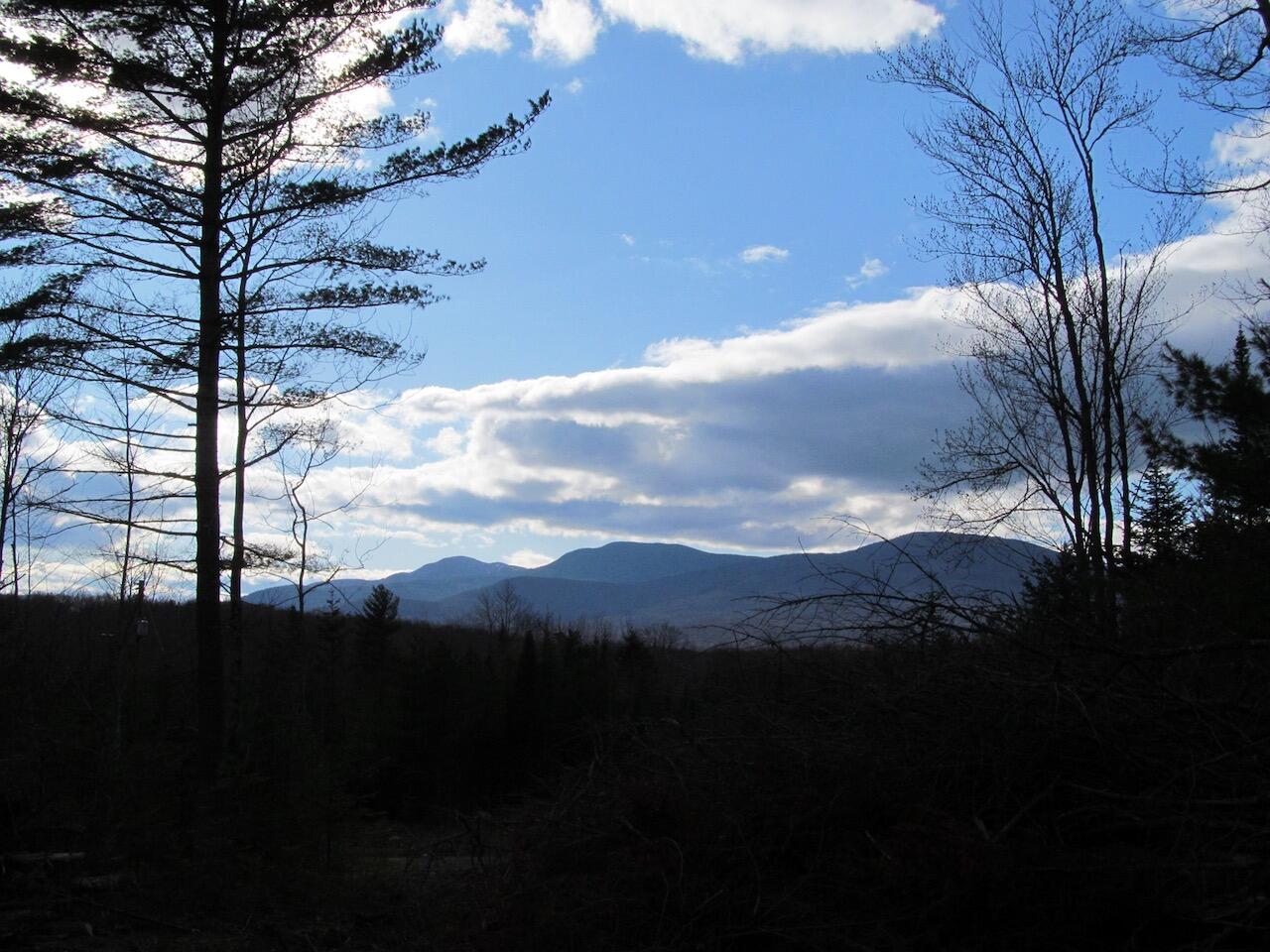 923 Center Hill Road Weld, ME 04285 - Photo 8 of 34 IMG_1087