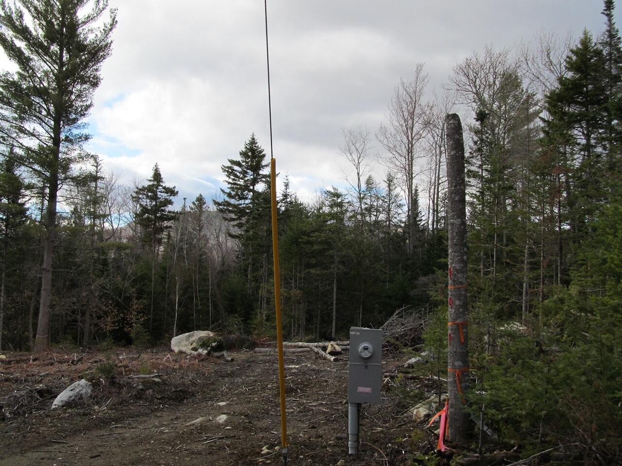 923 Center Hill Road Weld, ME 04285 - Photo 9 of 34 IMG_1086