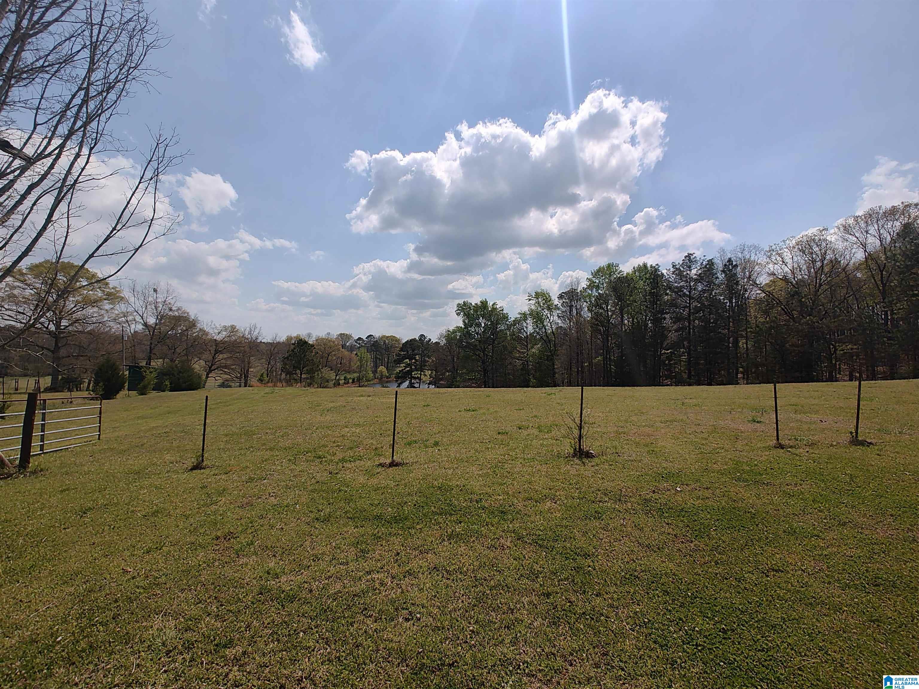 75 Mary Lee Lane Alpine, AL 35014 - Photo 5 of 77