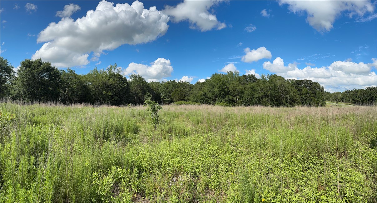 3816 Pin Oak Road Franklin, TX 77856 - Photo 1 of 15 View from Hilltop