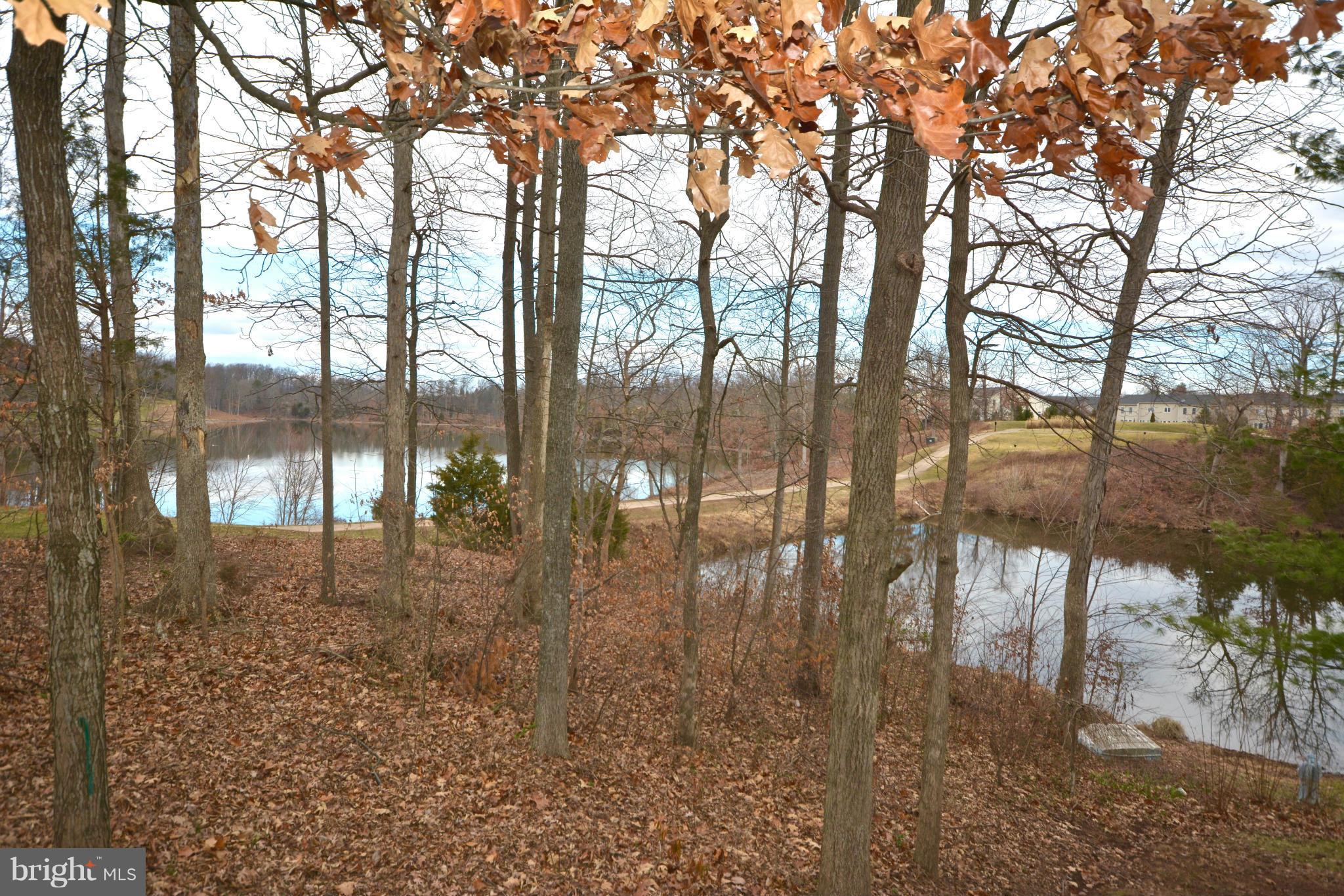 14468 Clubhouse Road Gainesville, VA 20155 - Photo 30 of 30 a view of yard with large trees