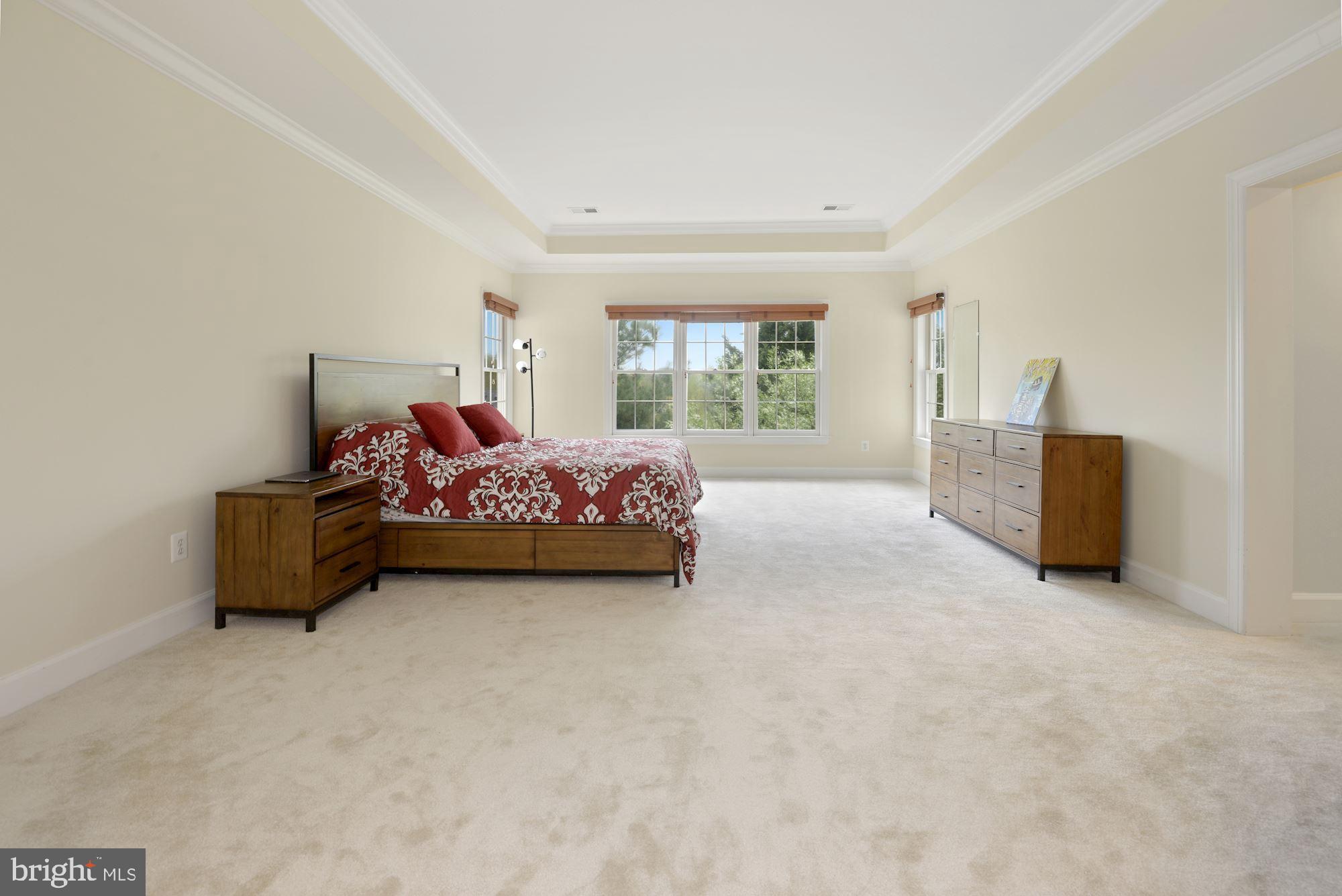 1406 Stanbridge Place Vienna, VA 22182 - Photo 21 of 48 Master suite with new carpet and tray ceiling!