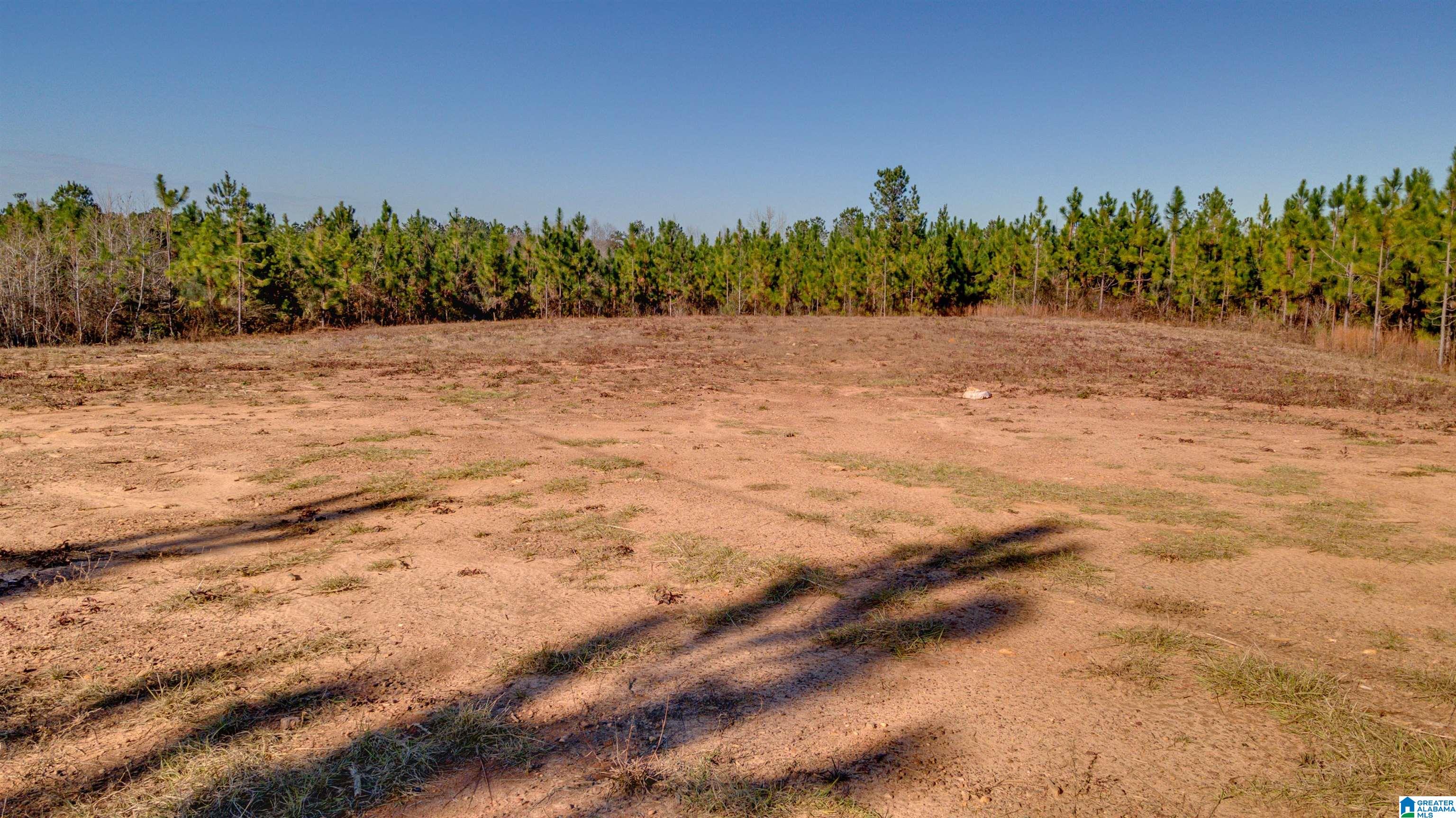 1341 County Road 528, Unit 36 Verbena, AL 36091 - Photo 13 of 19