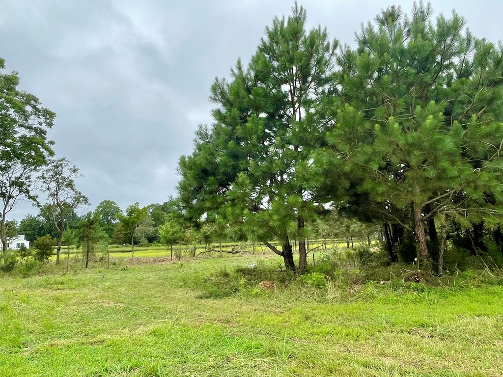 Lot 3 Green Landing Road, Unit 3 Onancock, VA 23417 - Photo 20 of 43