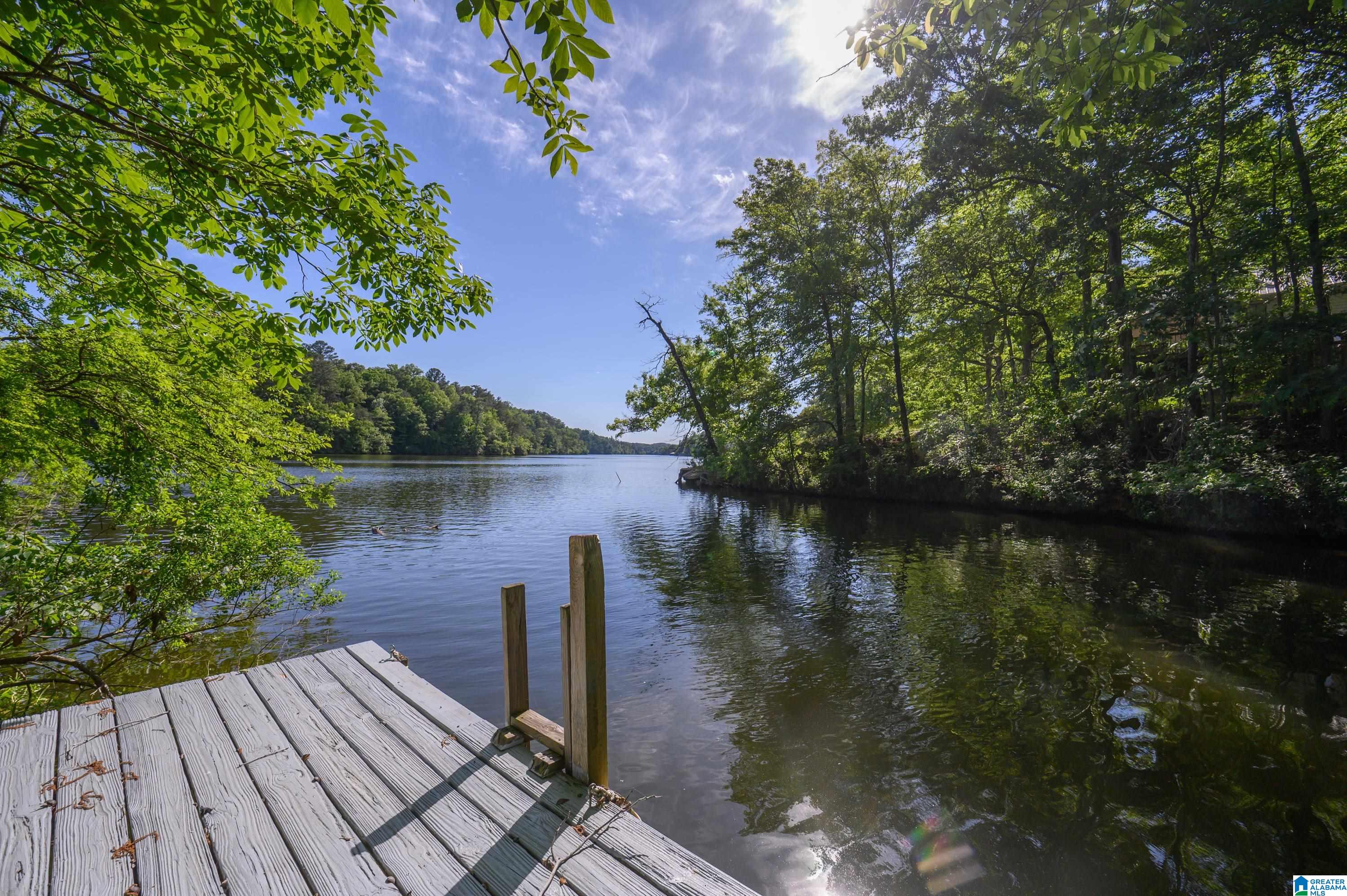 389 Ridge Drive Shelby, AL 35143 - Photo 74 of 100