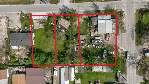 an outdoor space view with plants and flowers