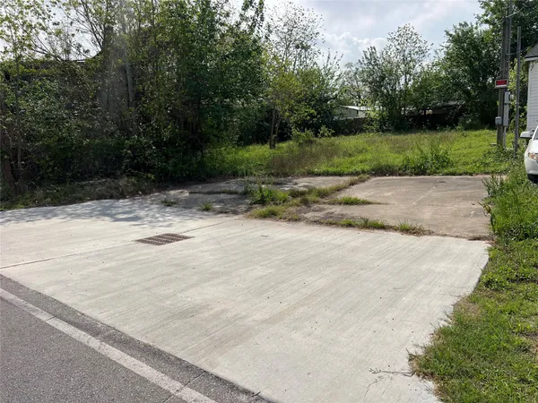 a view of backyard with green space