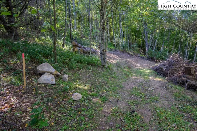 a view of statue in a garden