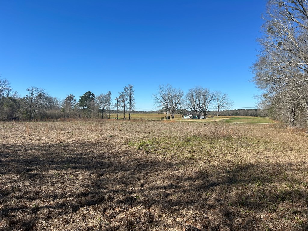 11034-11134 Cty Road Slocomb, AL 36375 - Photo 44 of 80