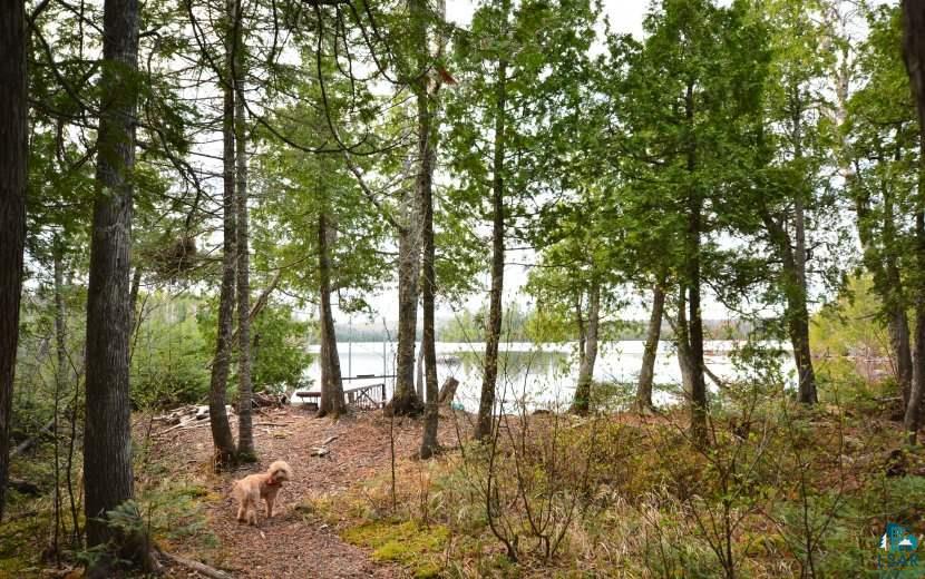 8855 Cramer Road Finland, MN 55603 - Photo 19 of 20 Gallery Image 19