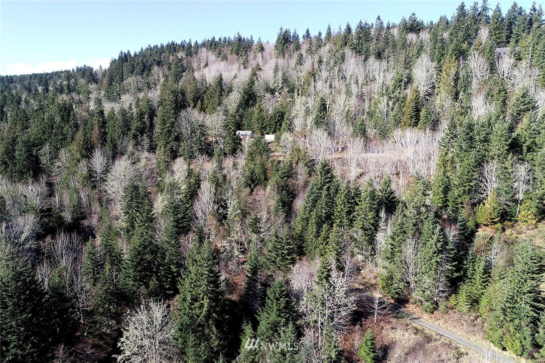 9999 Eagle Ridge Road Port Angeles, WA 98363 - Photo 10 of 17 Gallery Image 10