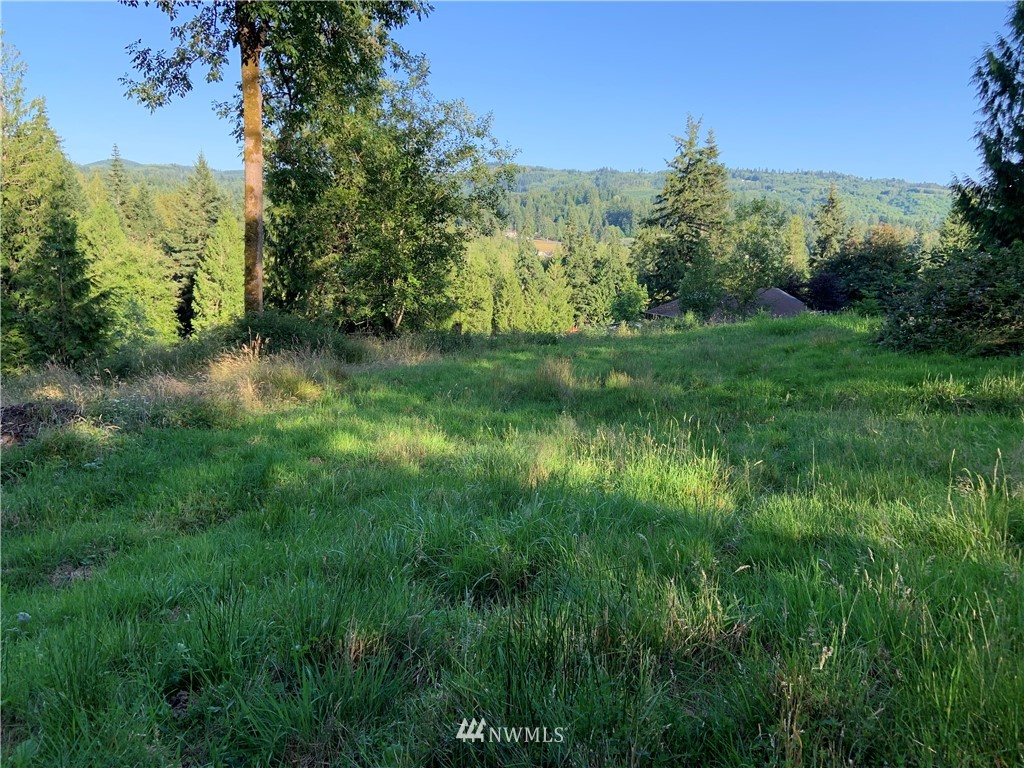 0 Derek Road Kelso, WA 98626 - Photo 1 of 30 Gallery Image 1