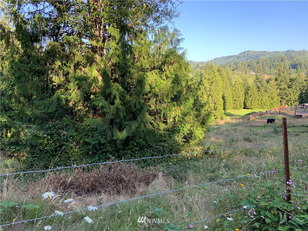 0 Derek Road Kelso, WA 98626 - Photo 11 of 30 Gallery Image 11