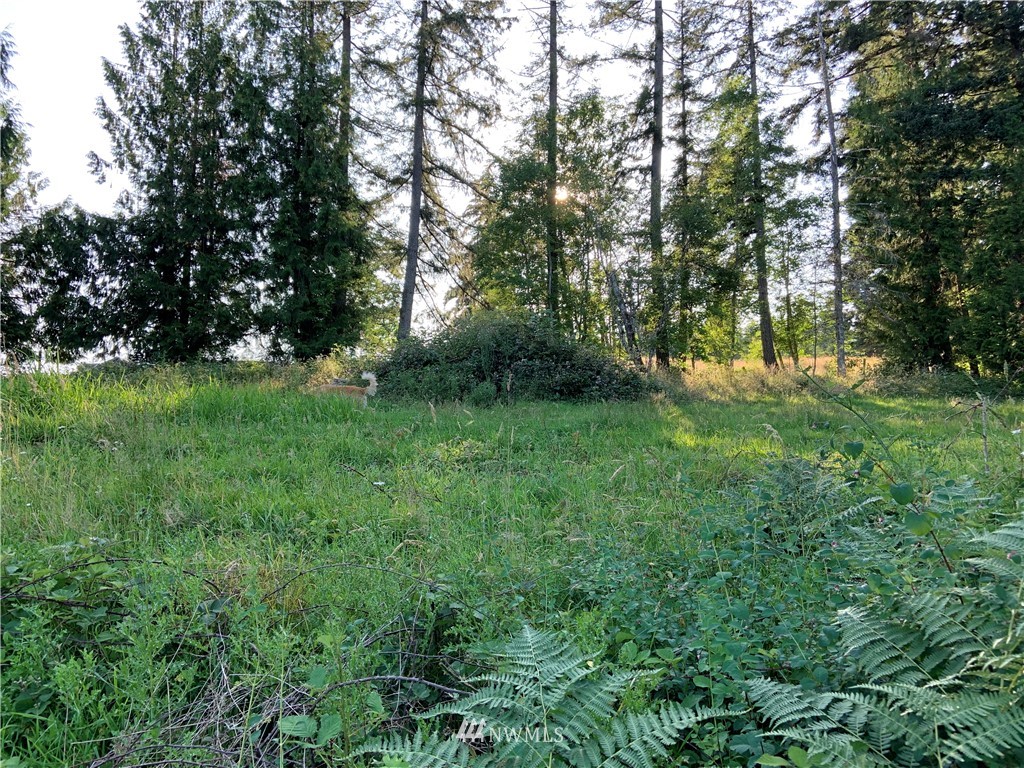 0 Derek Road Kelso, WA 98626 - Photo 13 of 30 Gallery Image 13