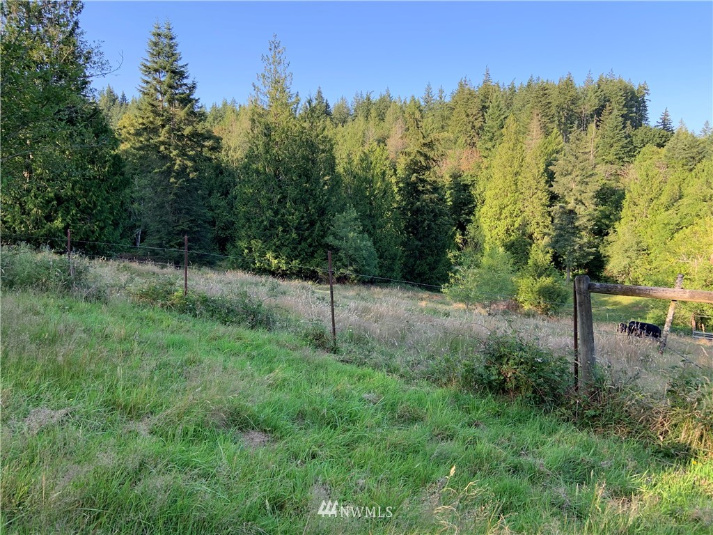 0 Derek Road Kelso, WA 98626 - Photo 15 of 30 Gallery Image 15