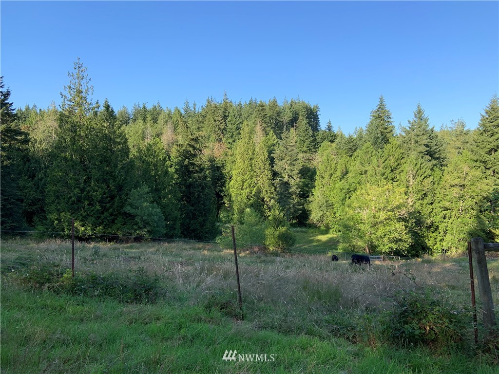 0 Derek Road Kelso, WA 98626 - Photo 16 of 30 Gallery Image 16