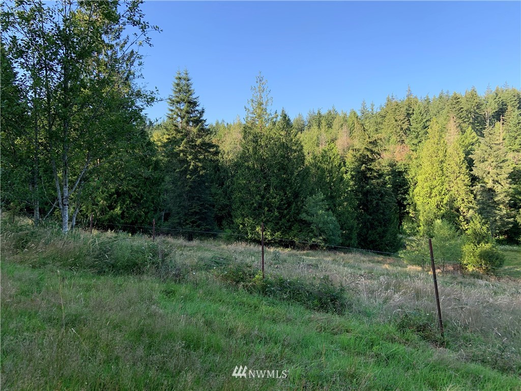 0 Derek Road Kelso, WA 98626 - Photo 17 of 30 Gallery Image 17