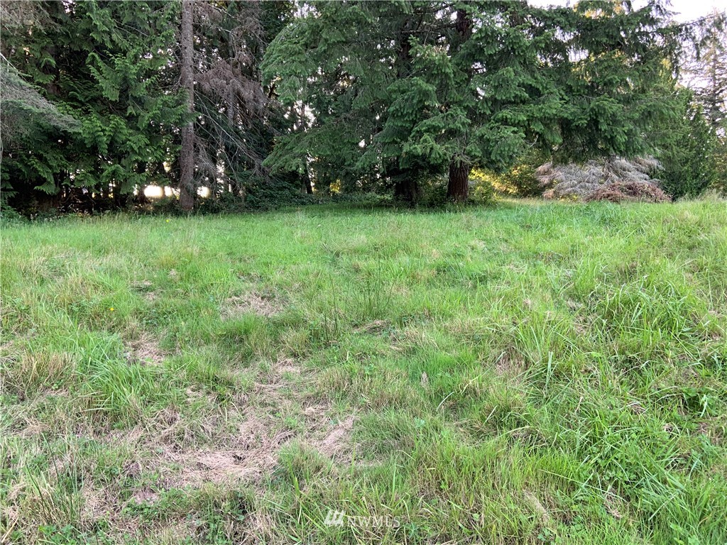 0 Derek Road Kelso, WA 98626 - Photo 18 of 30 Gallery Image 18