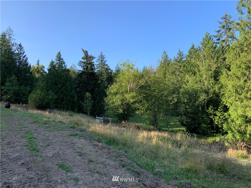 0 Derek Road Kelso, WA 98626 - Photo 19 of 30 Gallery Image 19