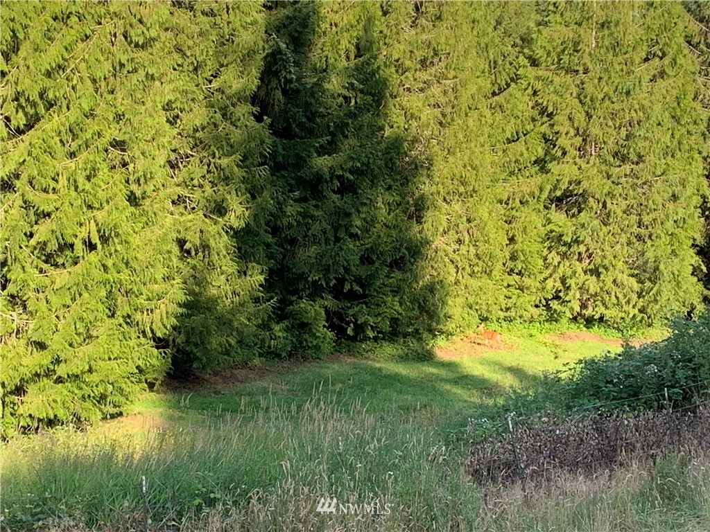 0 Derek Road Kelso, WA 98626 - Photo 20 of 30 Gallery Image 20