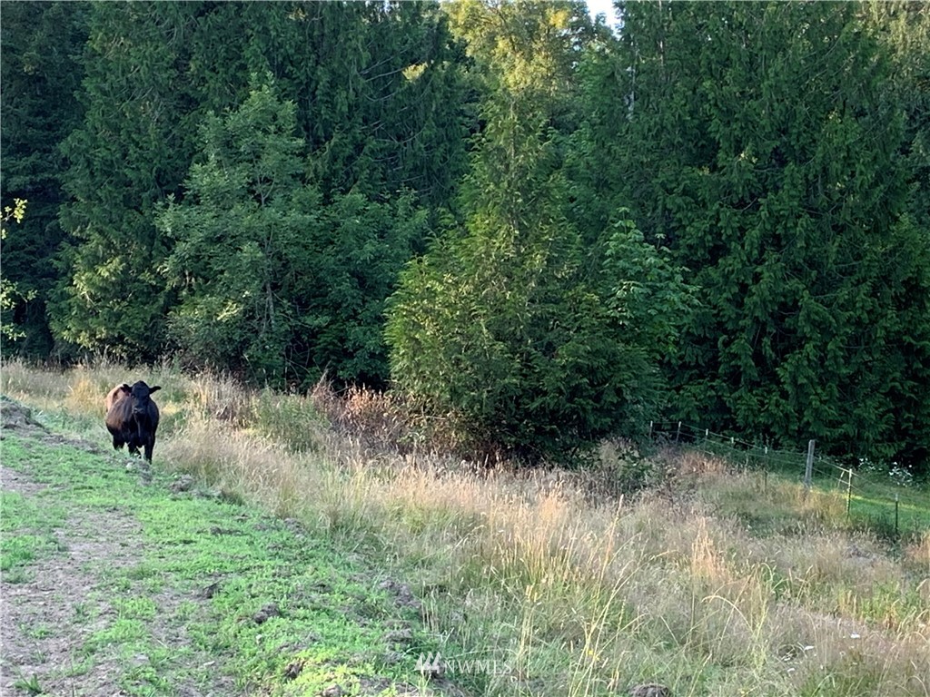 0 Derek Road Kelso, WA 98626 - Photo 21 of 30 Gallery Image 21