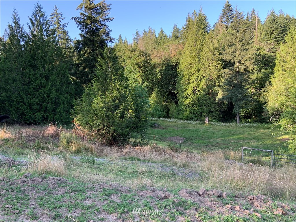 0 Derek Road Kelso, WA 98626 - Photo 23 of 30 Gallery Image 23