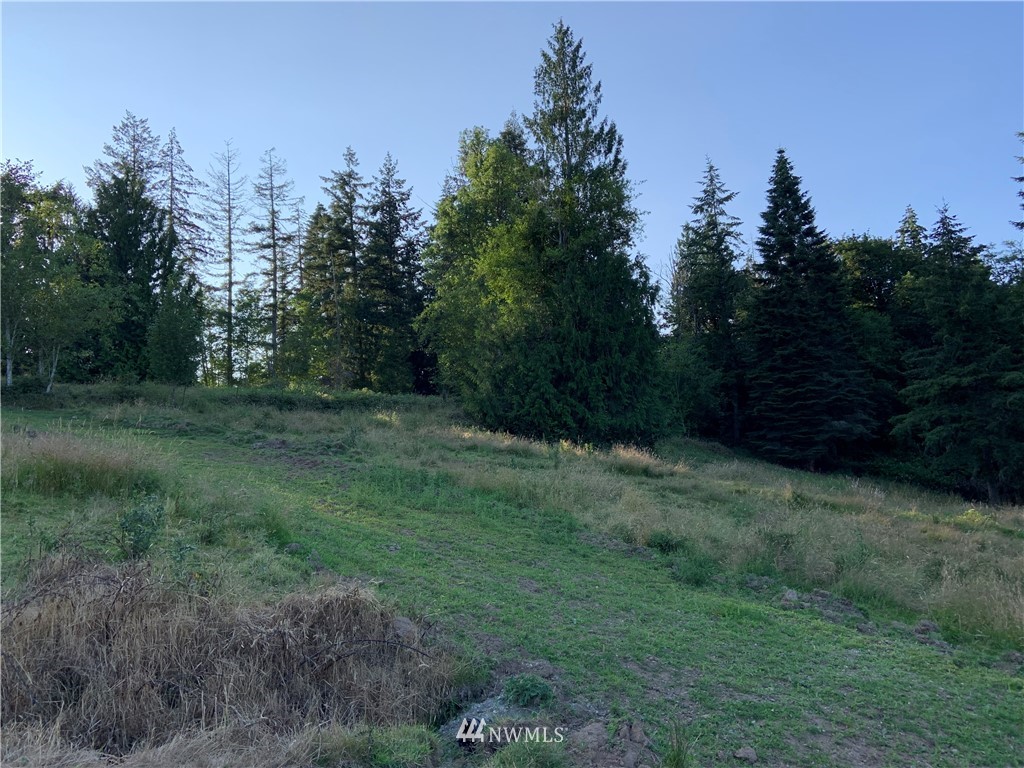 0 Derek Road Kelso, WA 98626 - Photo 24 of 30 Gallery Image 24