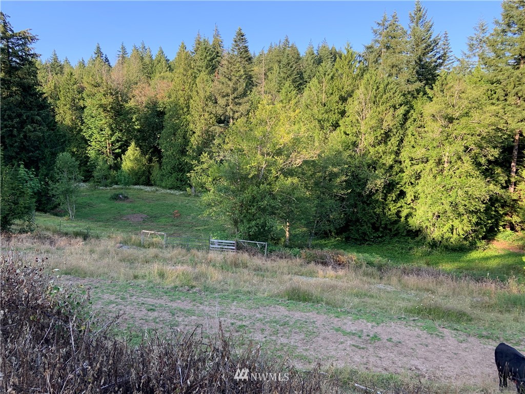 0 Derek Road Kelso, WA 98626 - Photo 27 of 30 Gallery Image 27