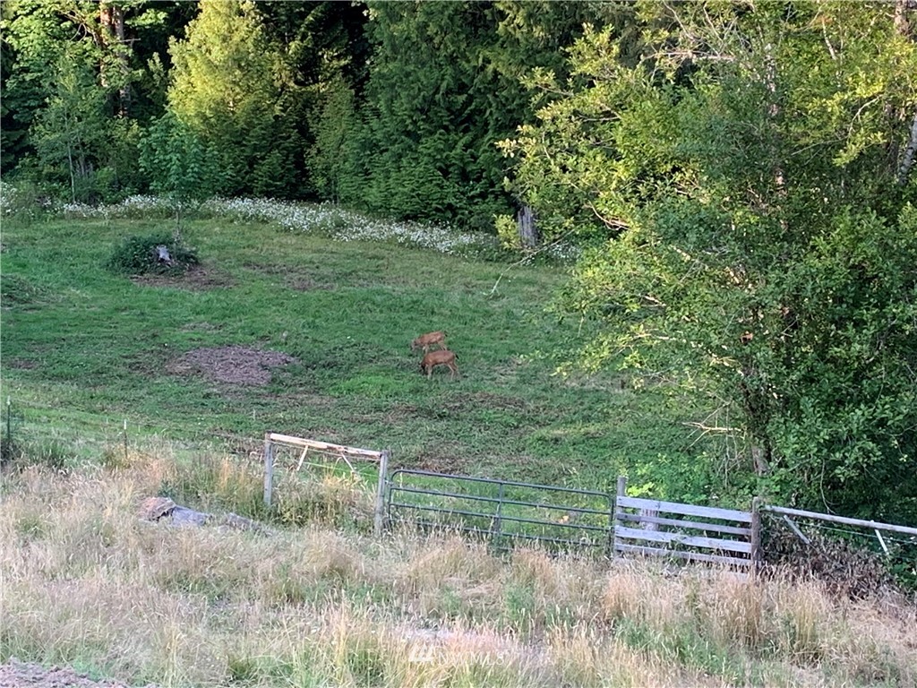 0 Derek Road Kelso, WA 98626 - Photo 28 of 30 Gallery Image 28