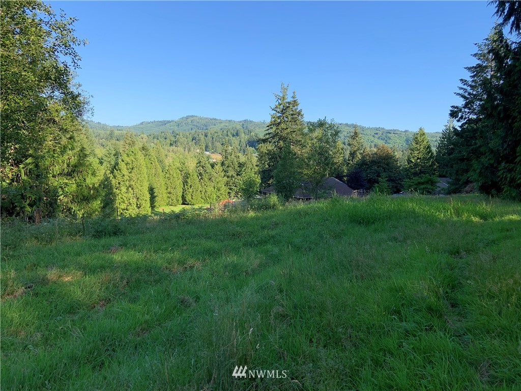 0 Derek Road Kelso, WA 98626 - Photo 6 of 30 Gallery Image 6