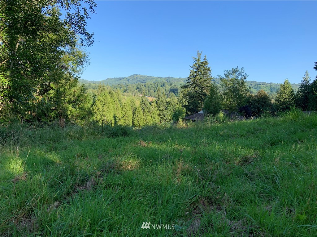0 Derek Road Kelso, WA 98626 - Photo 9 of 30 Gallery Image 9