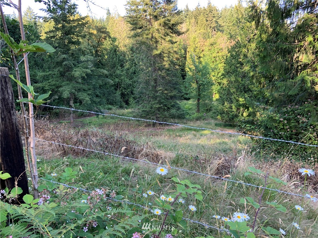 0 Derek Road Kelso, WA 98626 - Photo 10 of 30 Gallery Image 10