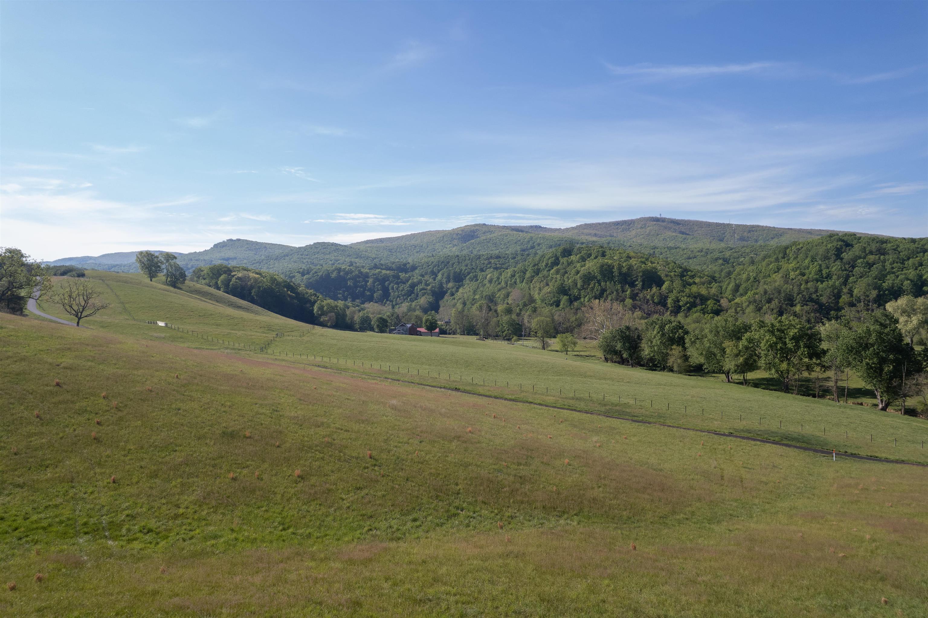 Tbd Tbd Reed Creek Road Wytheville, VA 24382 - Photo 6 of 22 Gallery Image 6