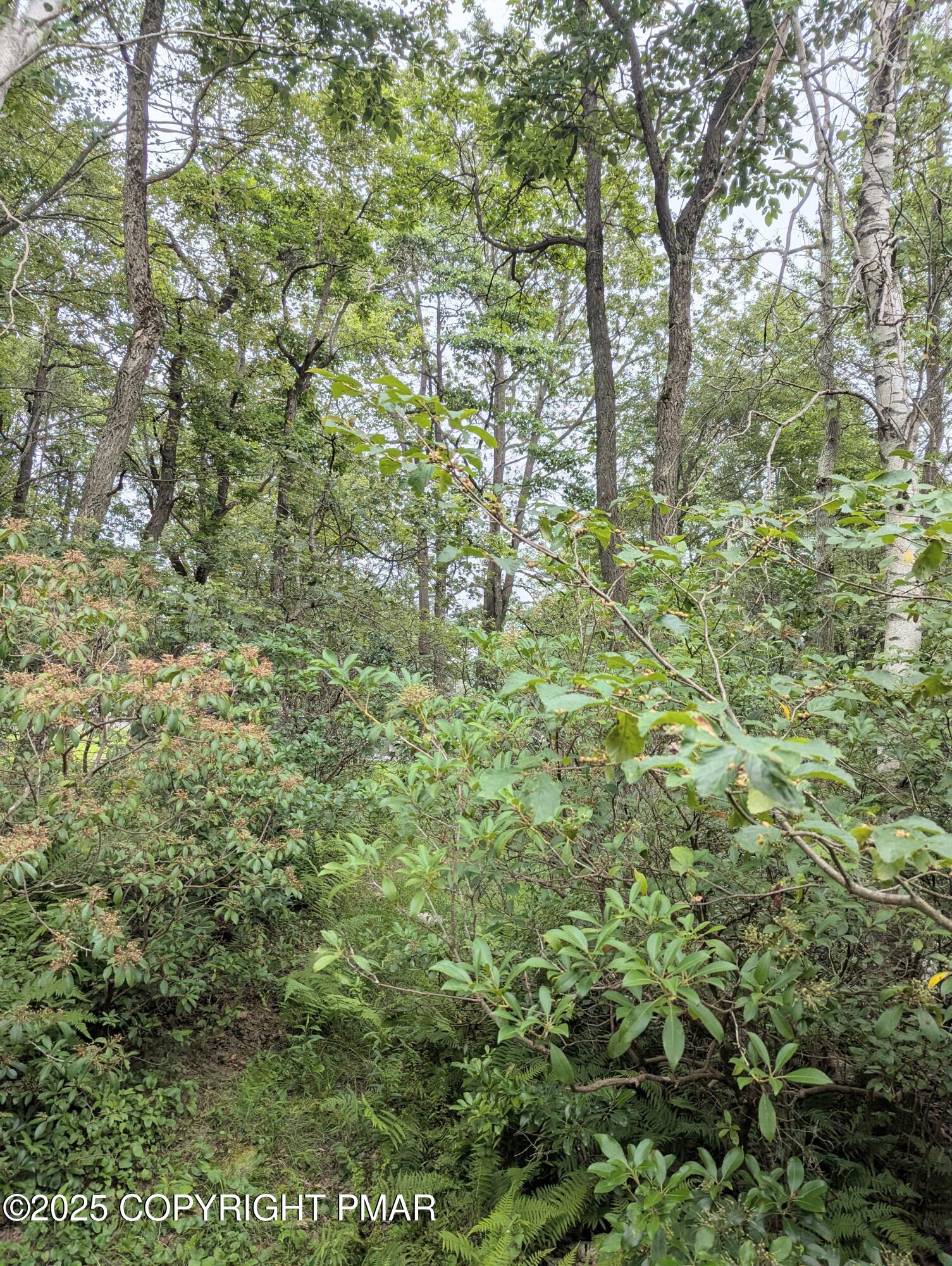 17 Birch Lane Scotrun, PA 18355 - Photo 6 of 13