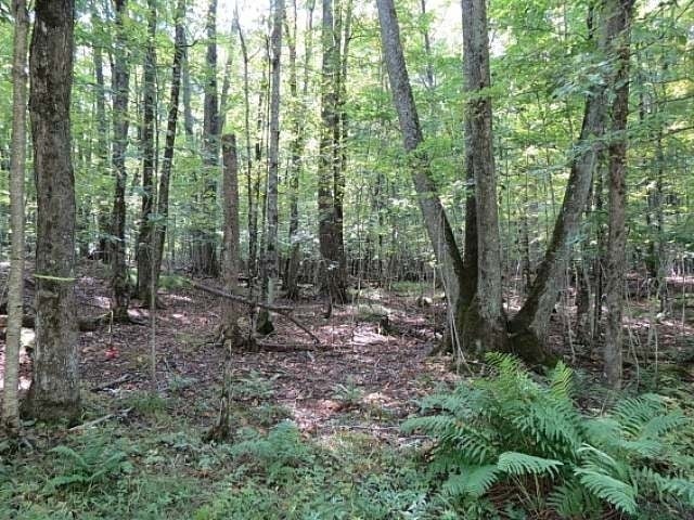Lot 3 Timber Wolf Road Presque Isle, WI 54557 - Photo 2 of 19 Gallery Image 2
