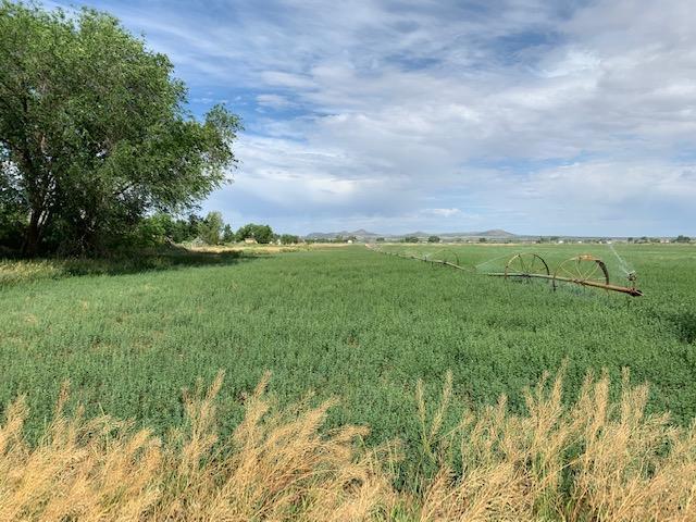 Land View