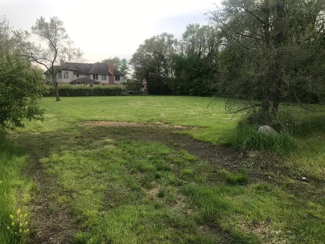 a view of a field with a yard