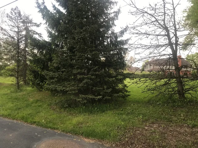 a view of outdoor space with trees all around
