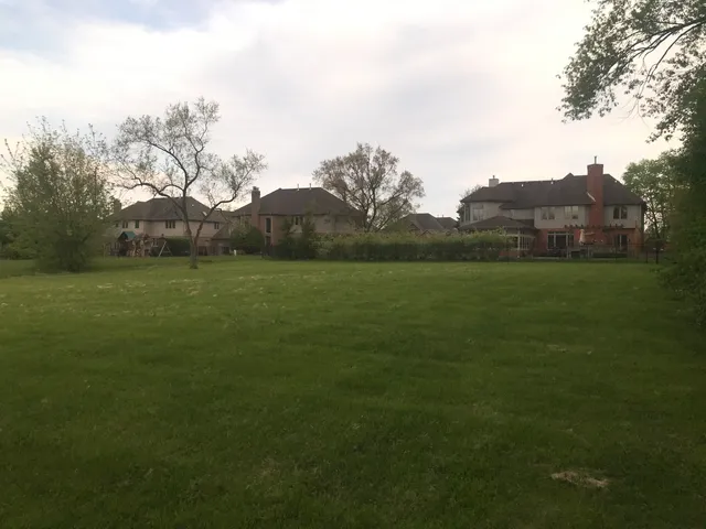 a view of a field with an trees
