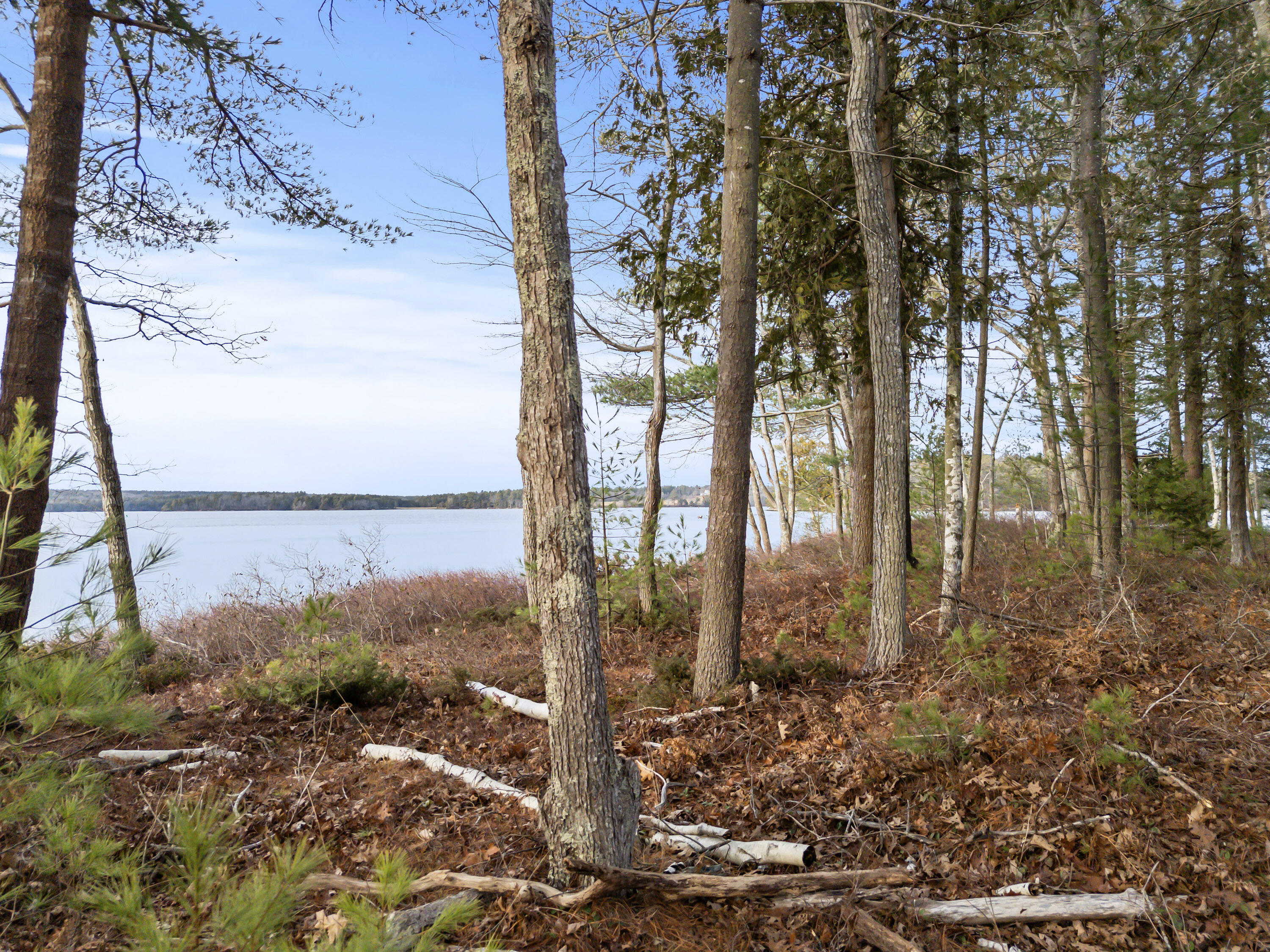 R-35 R-35 Bareneck Island Georgetown, ME 04548 - Photo 13 of 81 Bareneck Island_118
