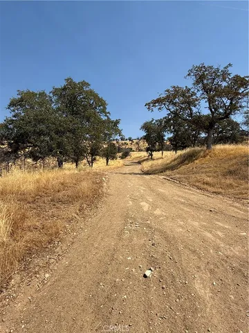 a house with trees in the background