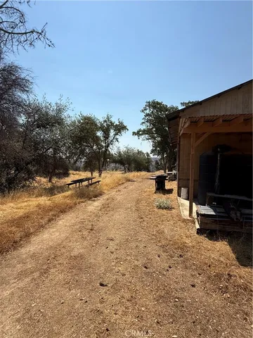 a view of a dry yard with trees