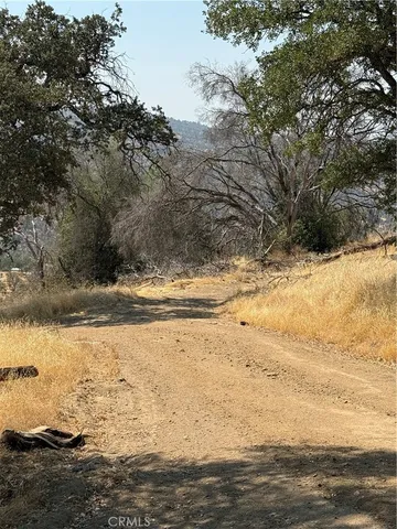 a view of yard covered with snow in the background