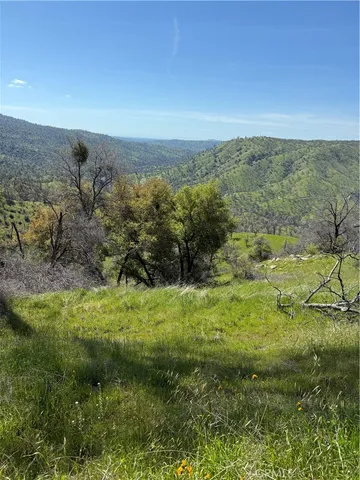 a view of a big yard with lots of green space and deers