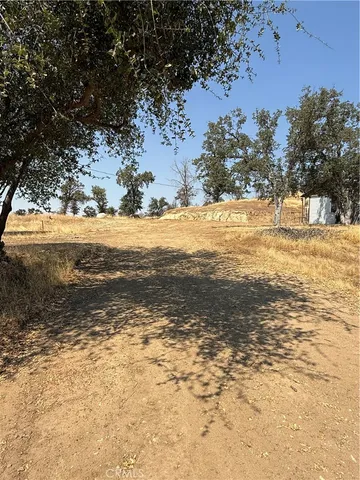 a view of yard with large trees