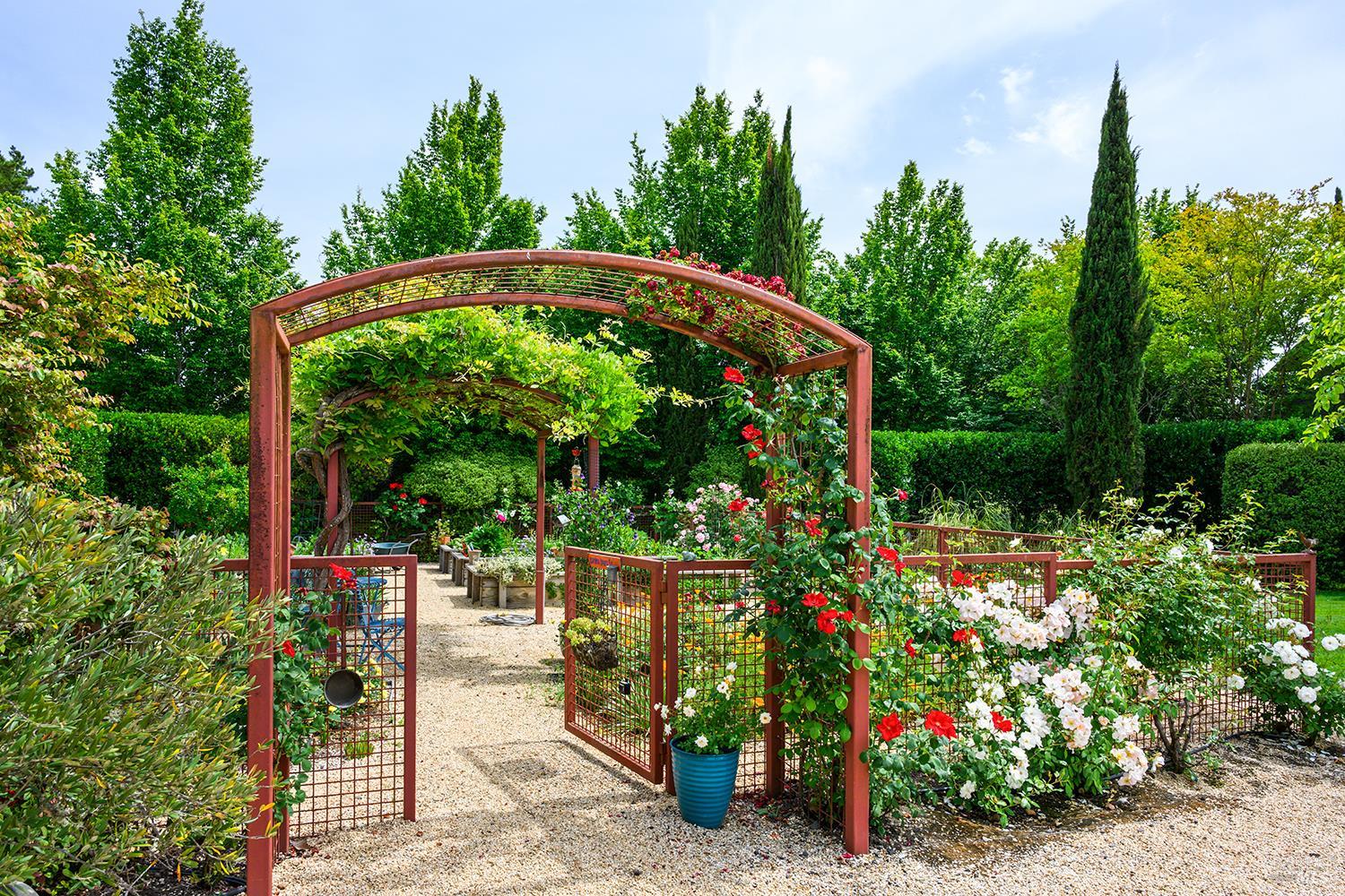 6003-6017 Red Winery Road Geyserville, CA 95441 - Photo 51 of 97 Fenced garden areas