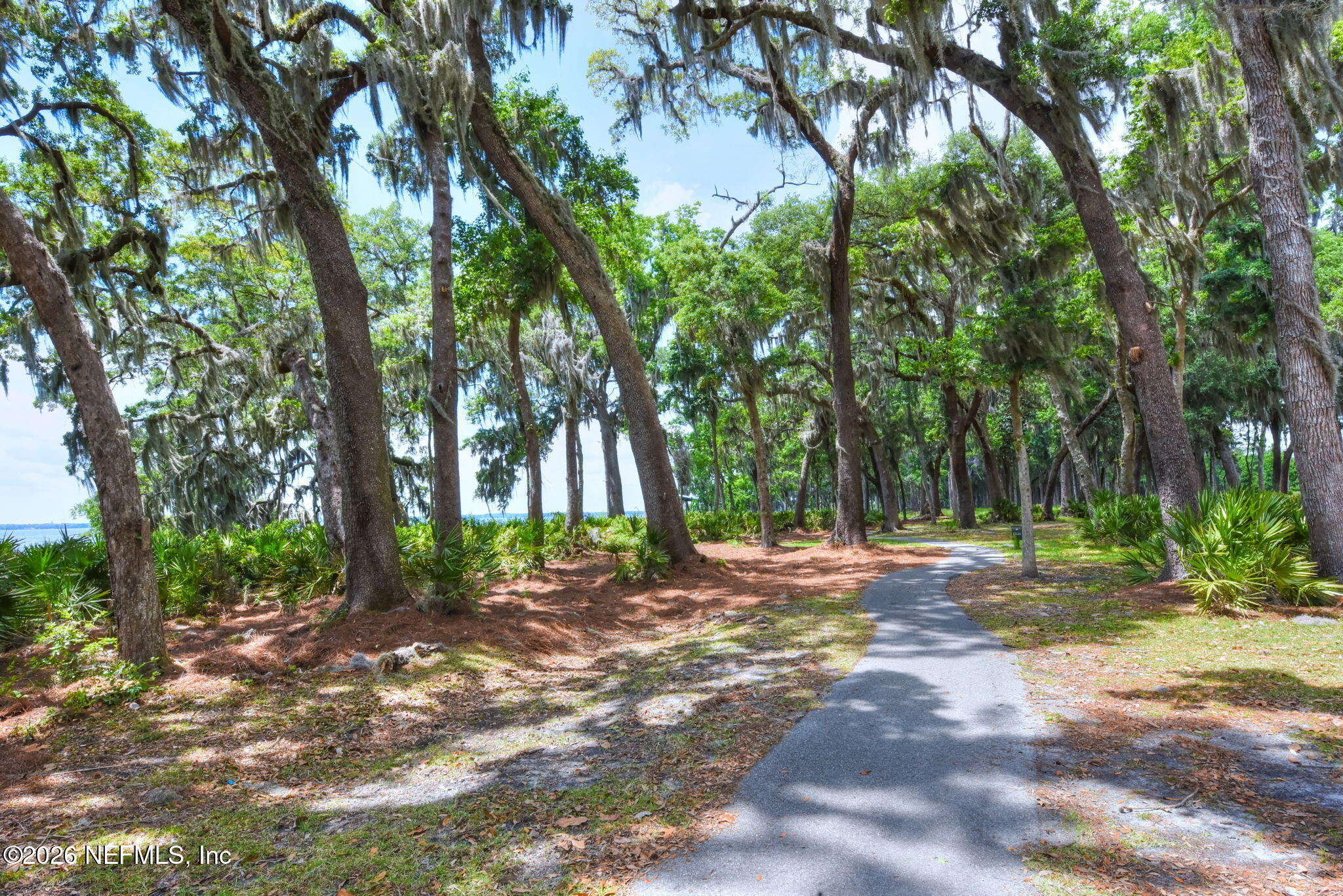 62 Broadleaf Lane St. Johns, FL 32259 - Photo 59 of 62 a view of a tree in the middle of a yard