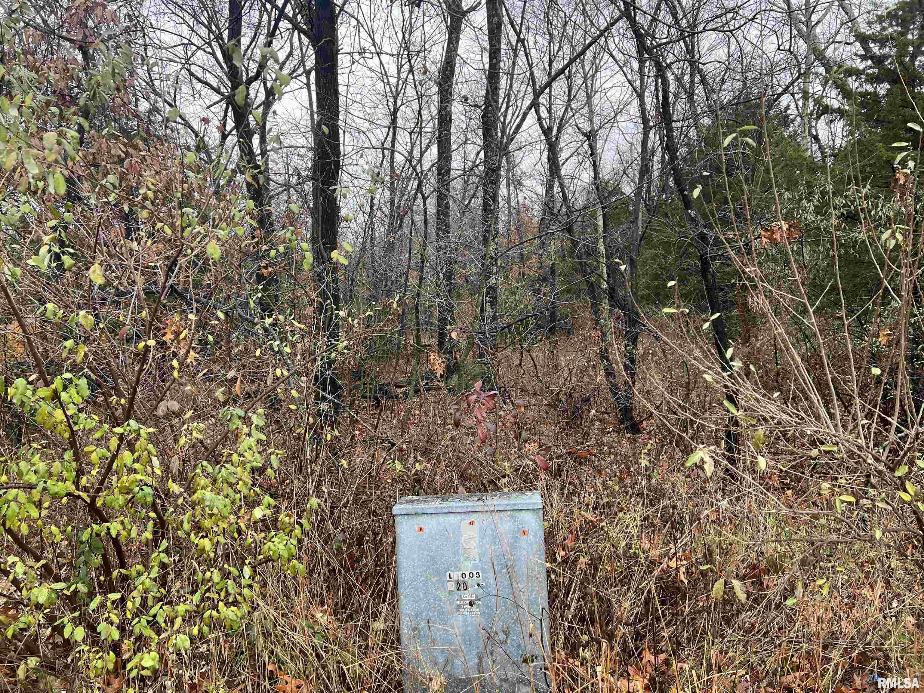 2975 Eagle Point Bay Road Goreville, IL 62939 - Photo 2 of 6