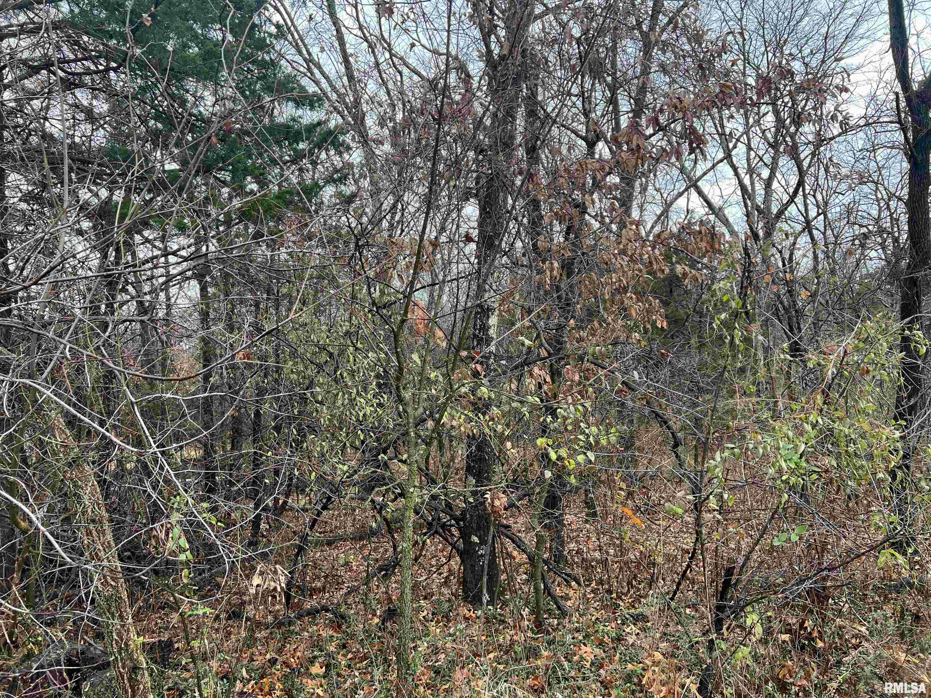 2975 Eagle Point Bay Road Goreville, IL 62939 - Photo 3 of 6