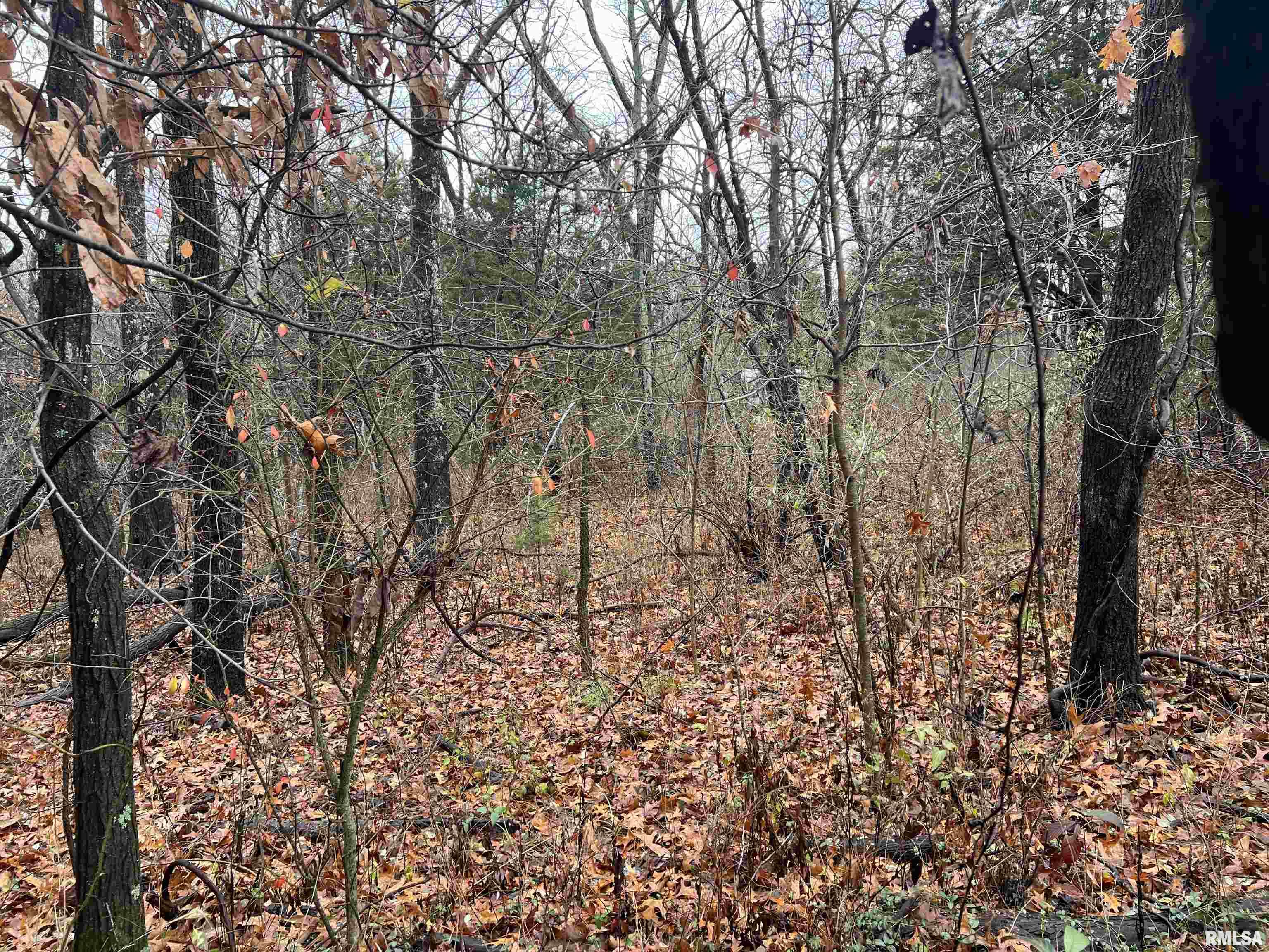 2975 Eagle Point Bay Road Goreville, IL 62939 - Photo 5 of 6